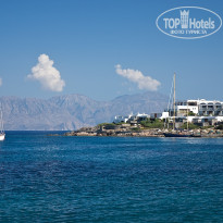 фото из отзыва ID 167545