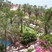 фото из отзыва ID 167815