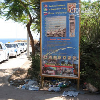 фото из отзыва ID 167816