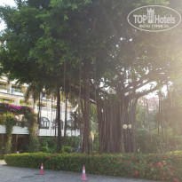 фото из отзыва ID 1670125