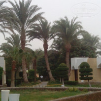 фото из отзыва ID 1670149