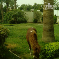 фото из отзыва ID 1670149