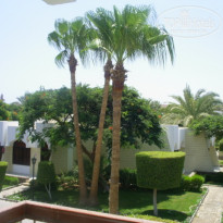 фото из отзыва ID 1670154