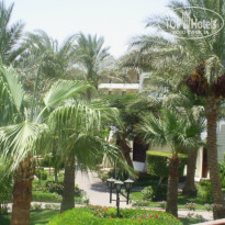 фото из отзыва ID 1670154