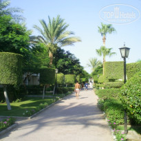 фото из отзыва ID 1670154