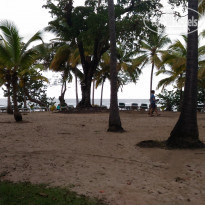 фото из отзыва ID 1670159