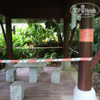 фото из отзыва ID 1670178