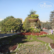 фото из отзыва ID 1670196