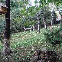 фото из отзыва ID 1670196