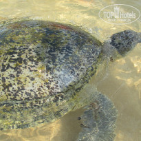 фото из отзыва ID 1670366