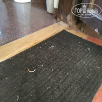 фото из отзыва ID 1670142