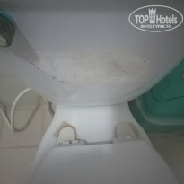 фото из отзыва ID 1670644