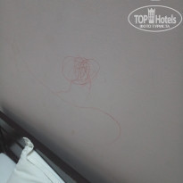 фото из отзыва ID 1670644