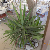 фото из отзыва ID 1670730