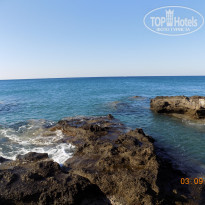 фото из отзыва ID 1670730