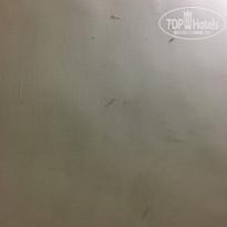 фото из отзыва ID 1670775