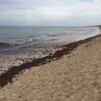 фото из отзыва ID 1670778