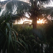 фото из отзыва ID 1670868