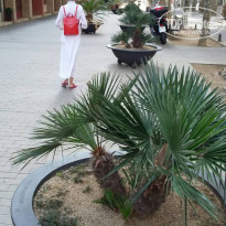 фото из отзыва ID 1670902