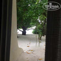 фото из отзыва ID 1670947