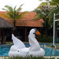 фото из отзыва ID 1670936