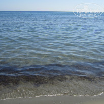 фото из отзыва ID 1671057