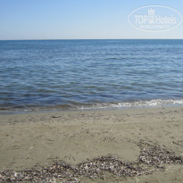 фото из отзыва ID 1671057