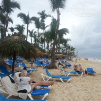 фото из отзыва ID 1671247