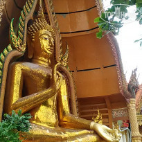 фото из отзыва ID 1671249