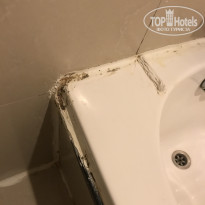 фото из отзыва ID 1671308