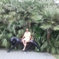 фото из отзыва ID 1671345