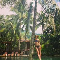 фото из отзыва ID 1671364