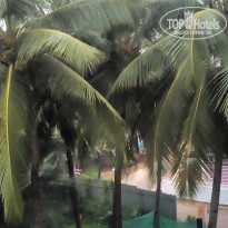 фото из отзыва ID 1671391