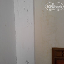 фото из отзыва ID 1671436