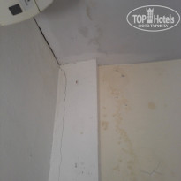 фото из отзыва ID 1671436