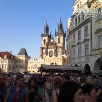 фото из отзыва ID 1671482