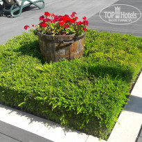 фото из отзыва ID 1671079