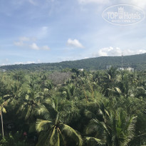 фото из отзыва ID 1671557