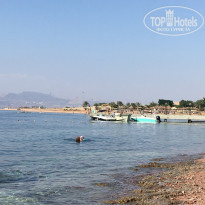 фото из отзыва ID 1671612