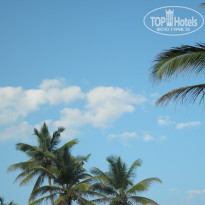 фото из отзыва ID 1671700