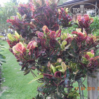 фото из отзыва ID 1671885