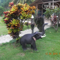 фото из отзыва ID 1671885