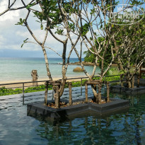 фото из отзыва ID 1672024