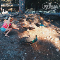 фото из отзыва ID 1672104