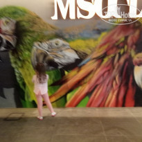 фото из отзыва ID 1672124