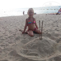 фото из отзыва ID 1672134