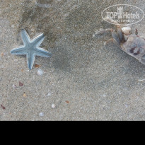 фото из отзыва ID 1672158