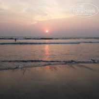 фото из отзыва ID 1672158