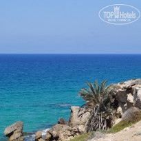 фото из отзыва ID 1672171