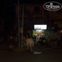 фото из отзыва ID 1672191